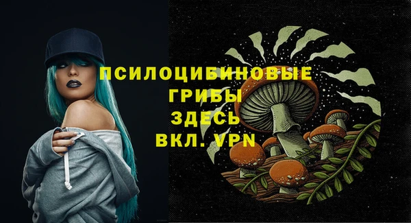 Альфа ПВП Алексин