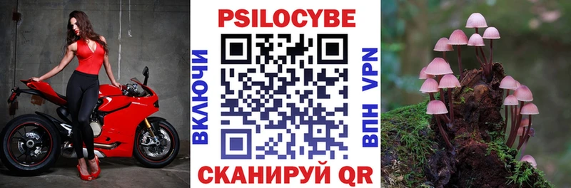 МЕГА ссылка  Каргат  Псилоцибиновые грибы GOLDEN TEACHER 